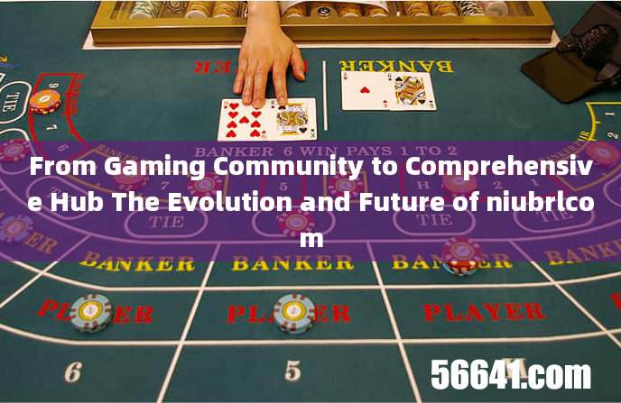 From Gaming Community to Comprehensive Hub The Evolution and Future of niubrlcom