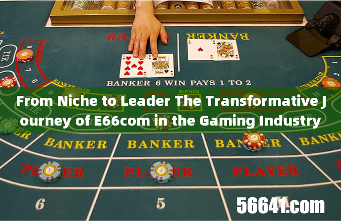 From Niche to Leader The Transformative Journey of E66com in the Gaming Industry