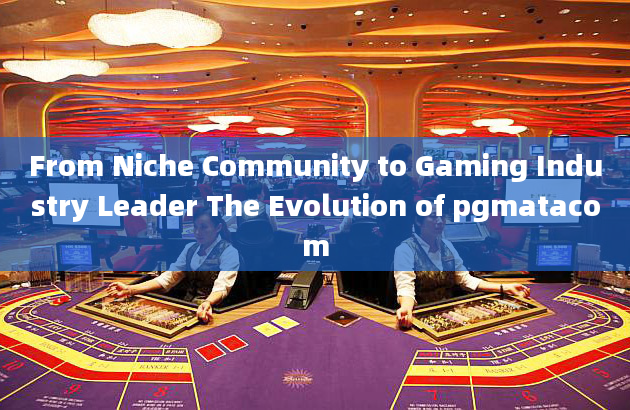 From Niche Community to Gaming Industry Leader The Evolution of pgmatacom